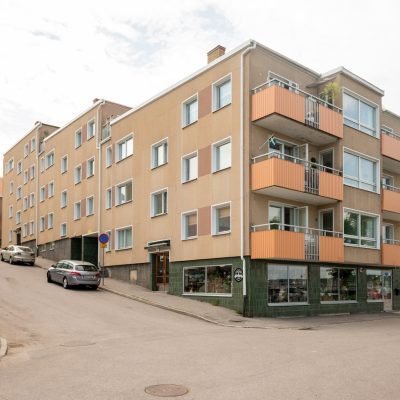 roggeanum_DSC2205