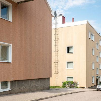 roggeanum_DSC2215